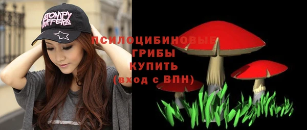 mix Няндома