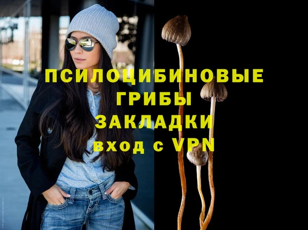 mix Няндома