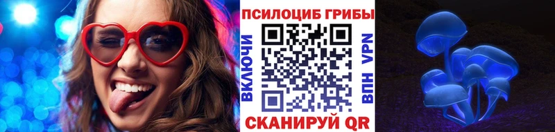 блэк спрут ТОР Ленинск Галлюциногенные грибы Cubensis купить наркоту